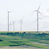 Feature image of Environmental